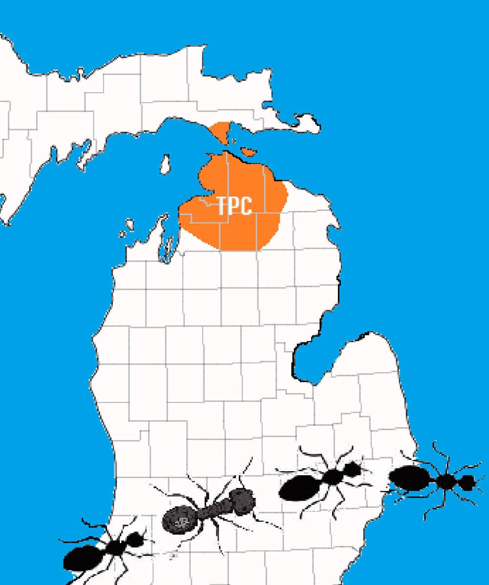 A map of michigan with ants on it