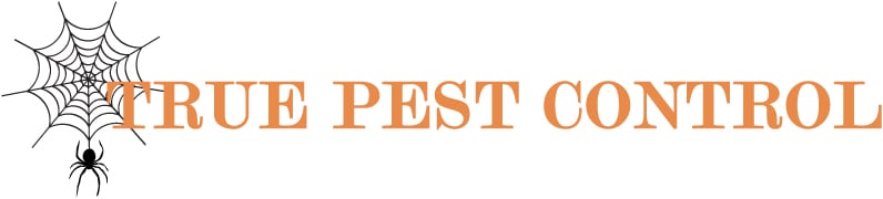 A picture of the word pest written in orange.